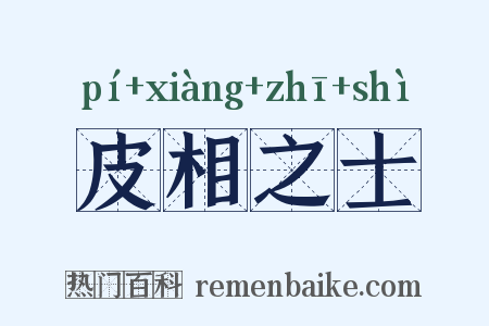 皮相之士是什么意思的图片